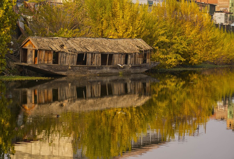 A bird flies past an old damaged houseboat on a lake.