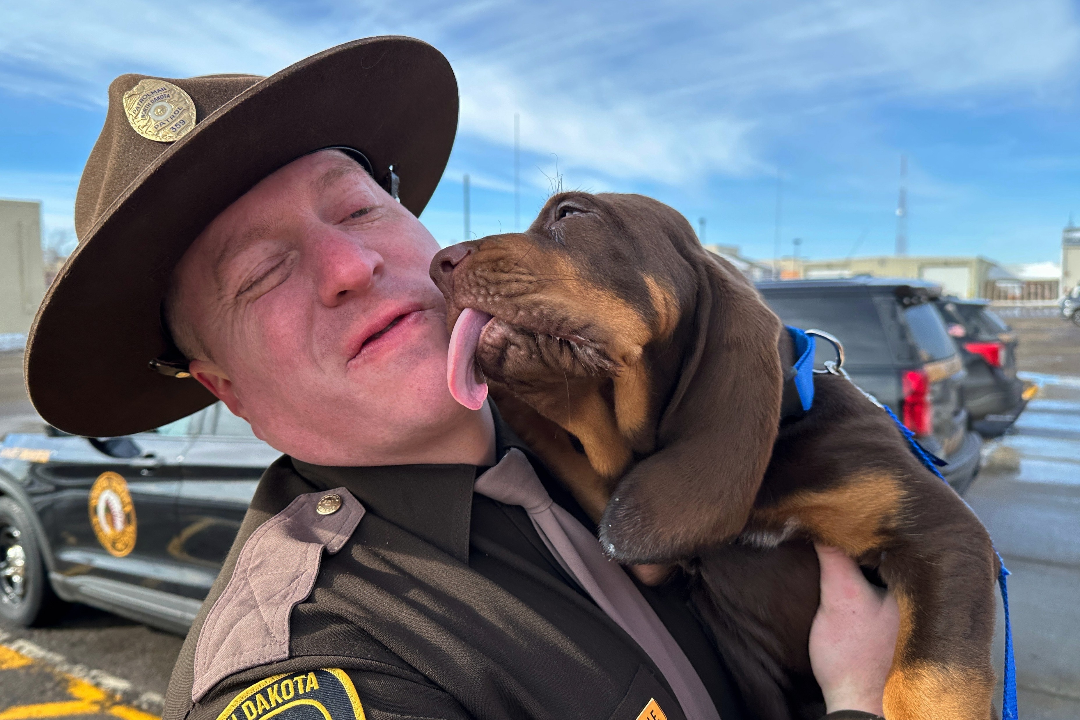 A bloodhound puppy licks the face of his handler, a Highway Patrol officer.