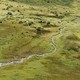 Arial photograph of a lush green plains with small trees dotting the landscape and a tiny stream flowing downhill
