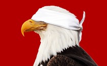 Illustration of a bald eagle wearing a blind fold.