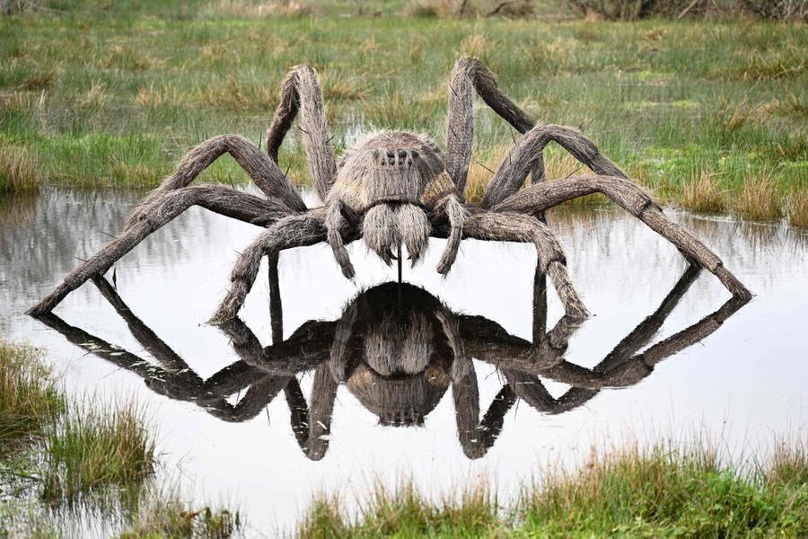 A large sculpture of a spider sits in a pond.
