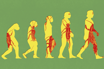 An illustration of the classic ape-to-human evolutionary transition, with cockroaches inlaid into the figures; the evolving figures are a muted yellow, the roaches are a deep red, and they're surrounded by a sage green