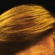 A photo of Sebastian Stan's (as Donald Trump) hair