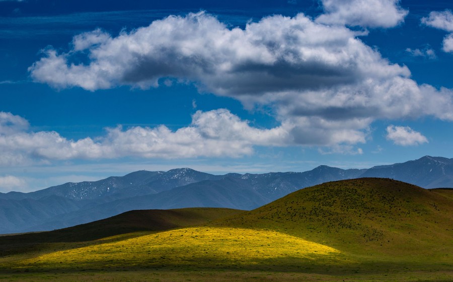 A view of blooming flowers on distant hills