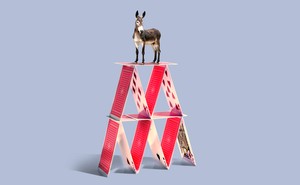 A donkey standing on top of a house of cards.