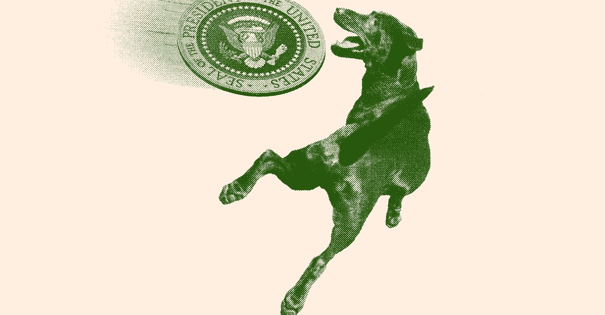 cdn.theatlantic.com image