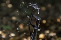 Picture of a sprinkler system providing water to plants and trees at Cadiz Farms