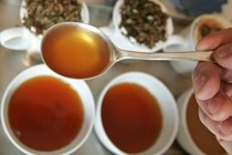 A hand holds a spoon full of tea over cups of brewed tea and tea leaves.