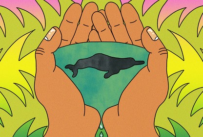 An illustration of a dolphin in water. The water is inside the palms of someone's hands.