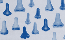 Many blue-filtered cut-out photos of noses