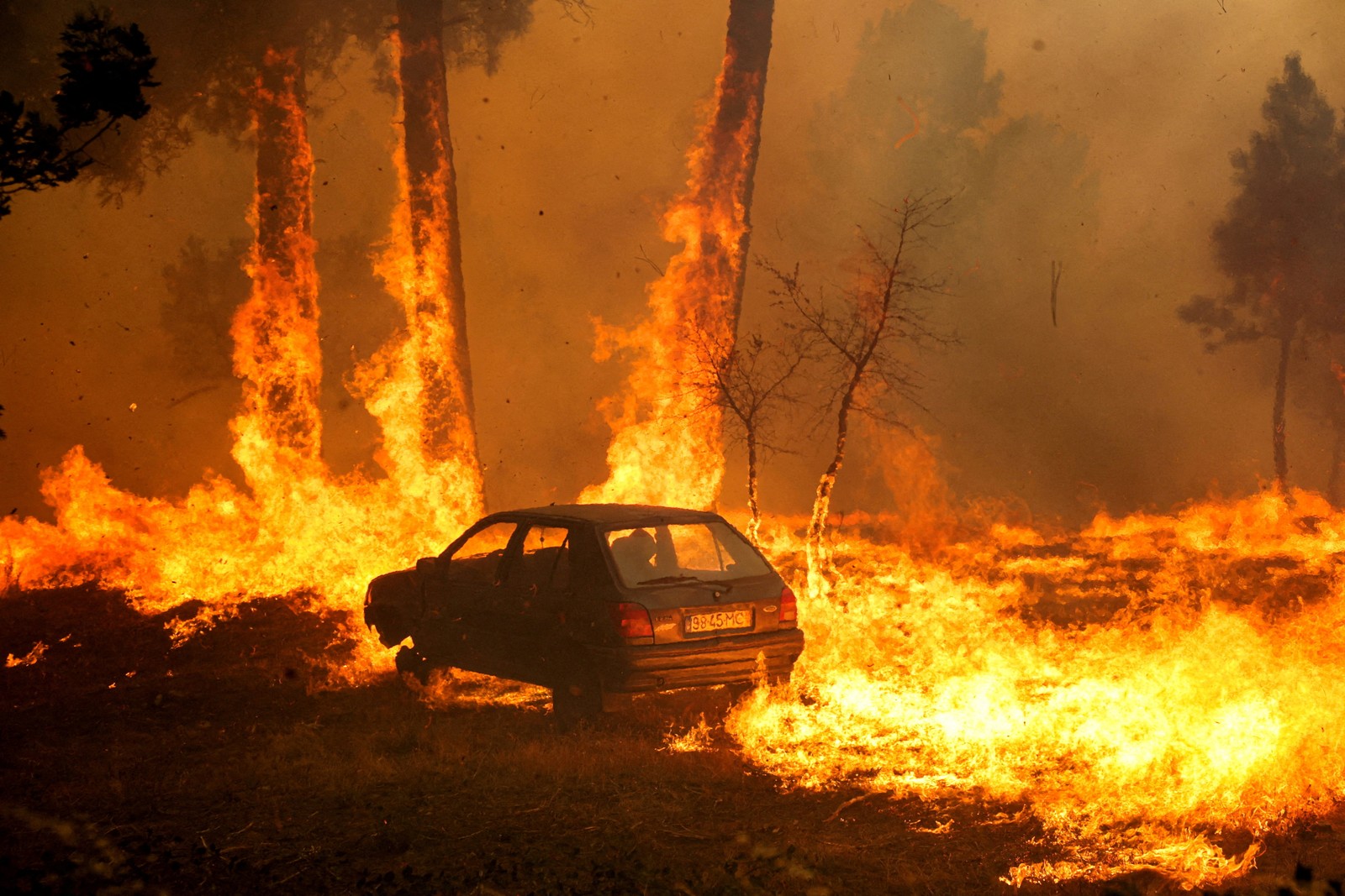 Tree trunks and a car are engulfed in flames in a wildfire.