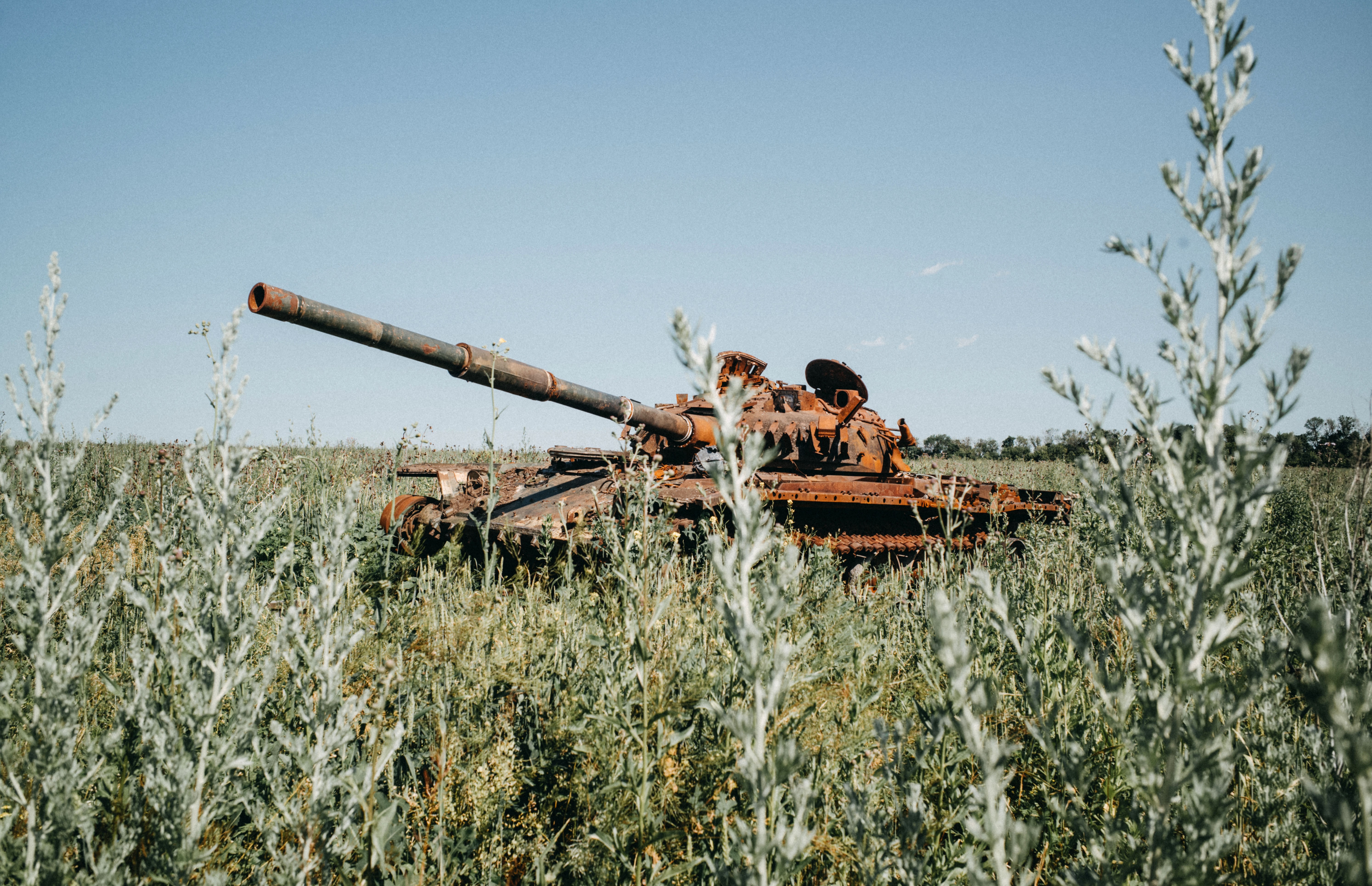 A destroyed Russian tank rusts in a field.