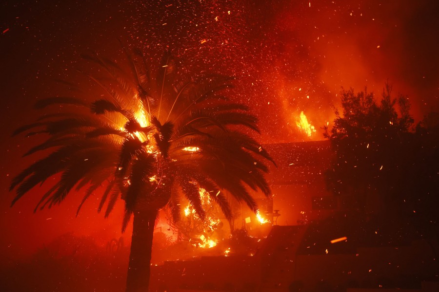 Nighttime scene of burning trees in the Pacific Palisades.
