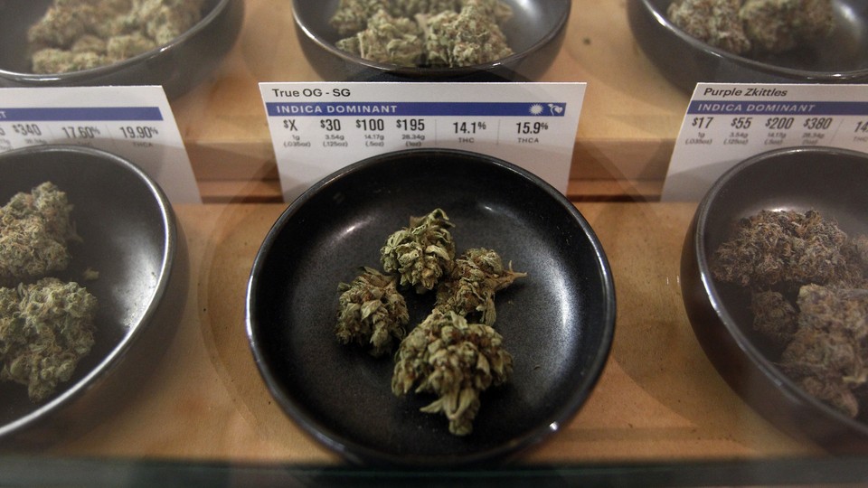 Different varieties of dried marijuana for sale