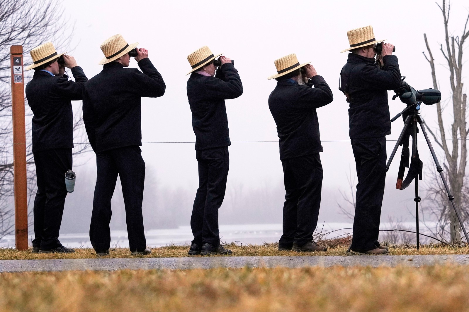 Five Amish men wearing identical straw hats and black clothing all hold up binoculars while looking at nearby waterfowl.