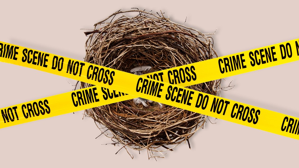 a nest with caution tape on top