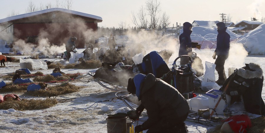 Mushers and dogs rest as small clouds of steam hover around in the air among them.
