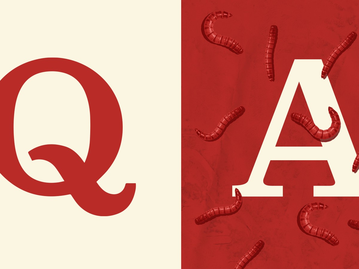 If There Are No Stupid Questions, Then How Do You Explain Quora? - The  Atlantic