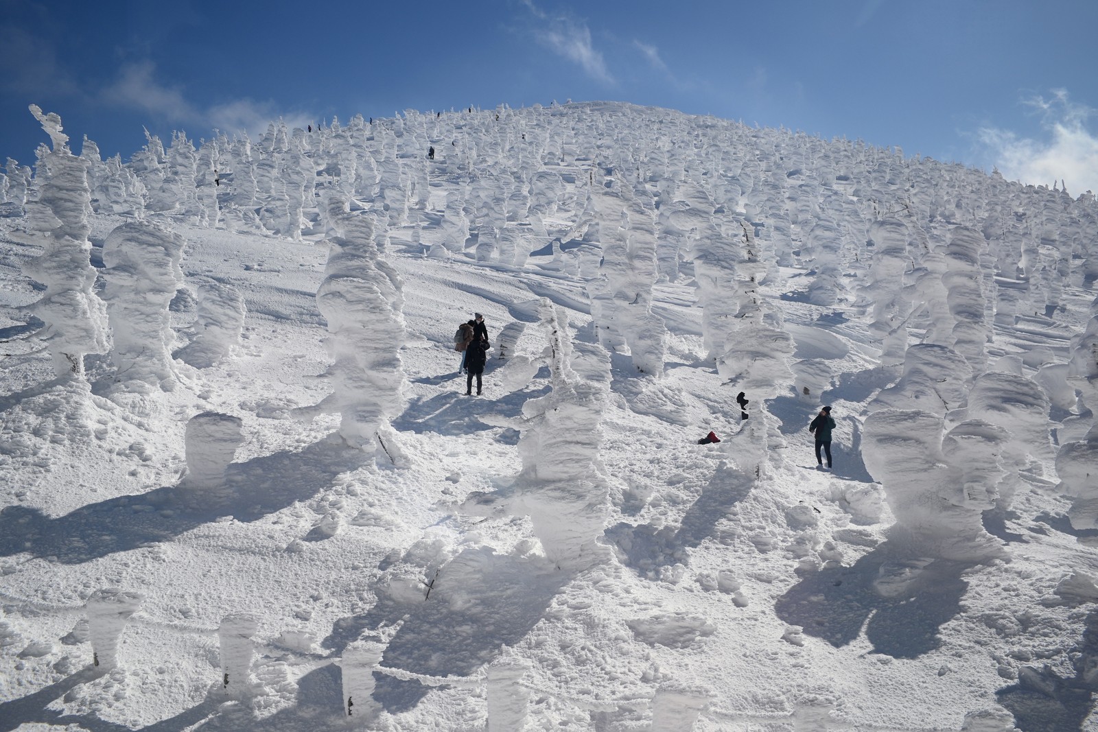People walk on a mountain slope among snow-and-ice-covered trees