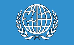 Illustration similar to UN logo with globe's latitude and longitude lines as a broken net