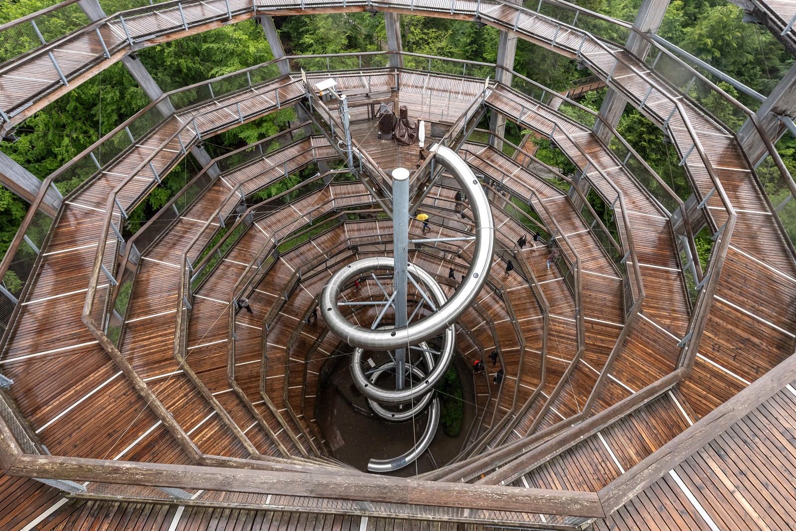 A view into a spiraling elevated walkway among trees.