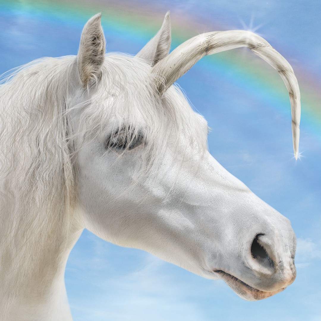 real life unicorn pictures
