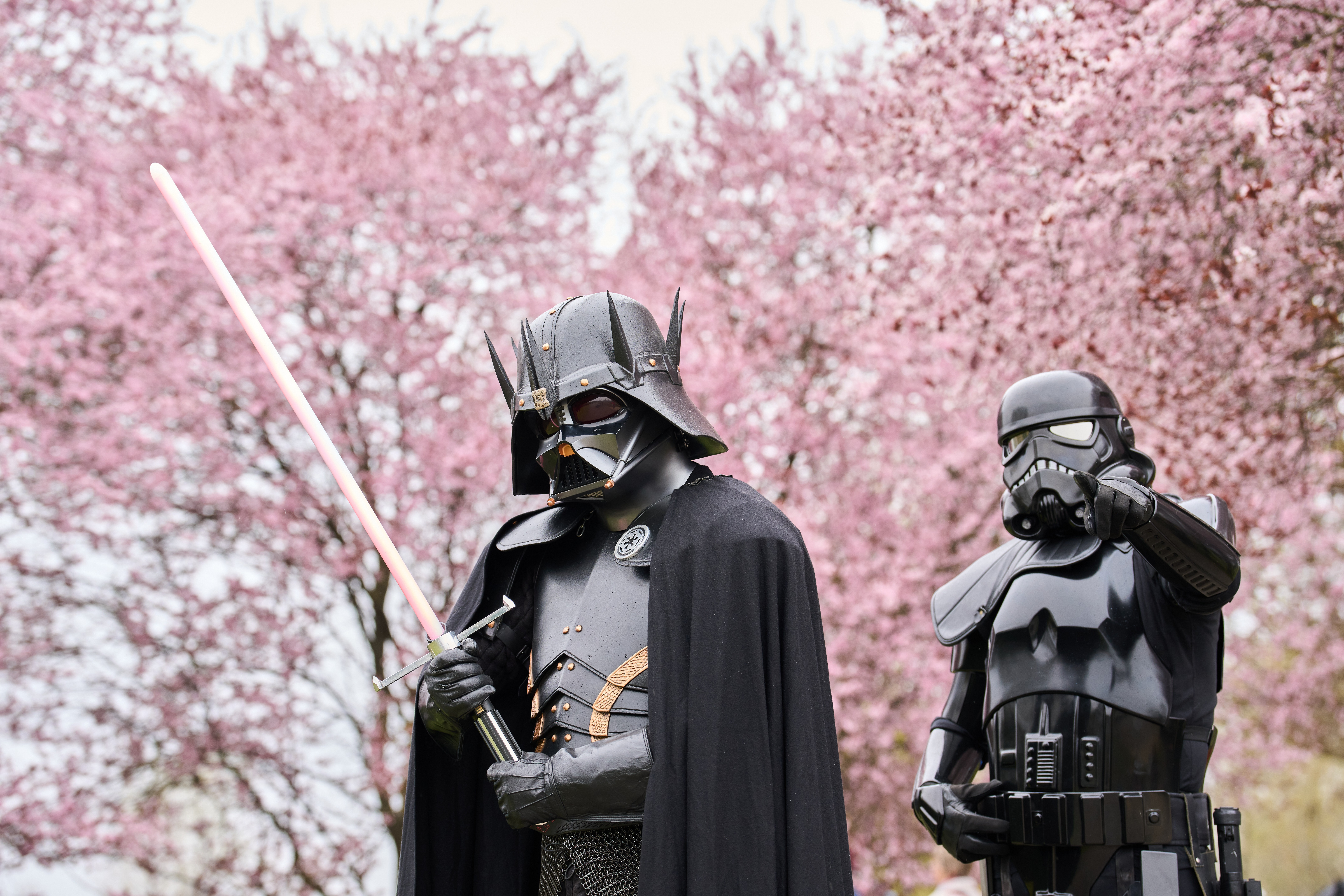 Two people wearing Star Wars–themed costumes walk beside blooming cherry trees.