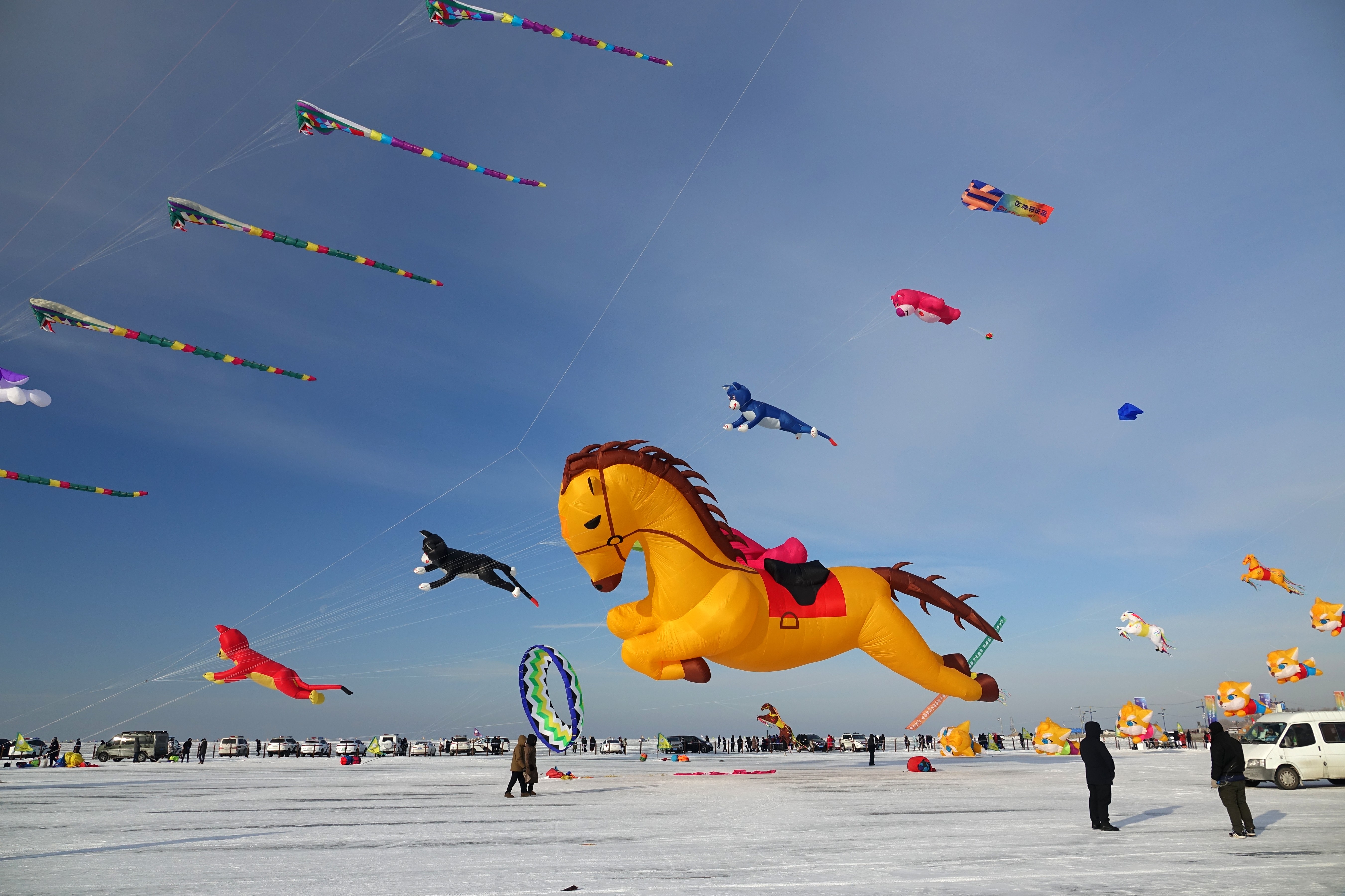 Many large kites, shaped like horses, cats, and more, fly above a frozen lake.