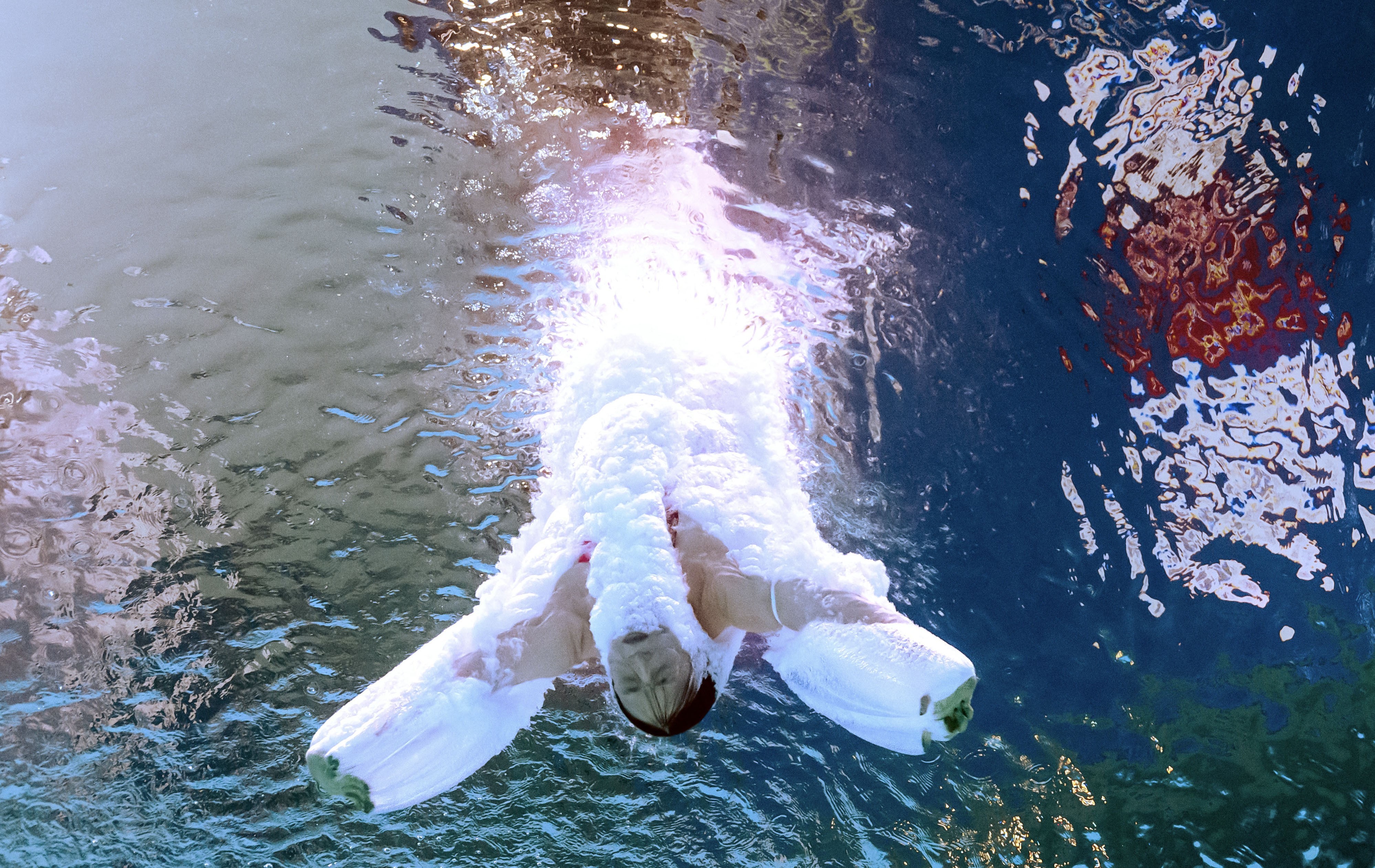 An underwater view of a diver plunging into a pool, leaving a stream of bubbles behind them.