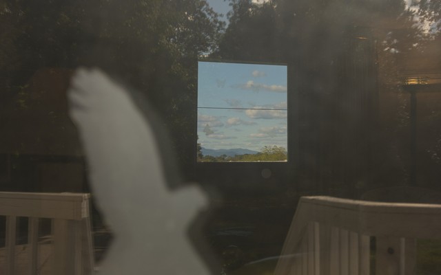 A photograph of a blue sky and a white dove