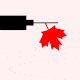 Illustration of a syringe with a maple leaf falling from it