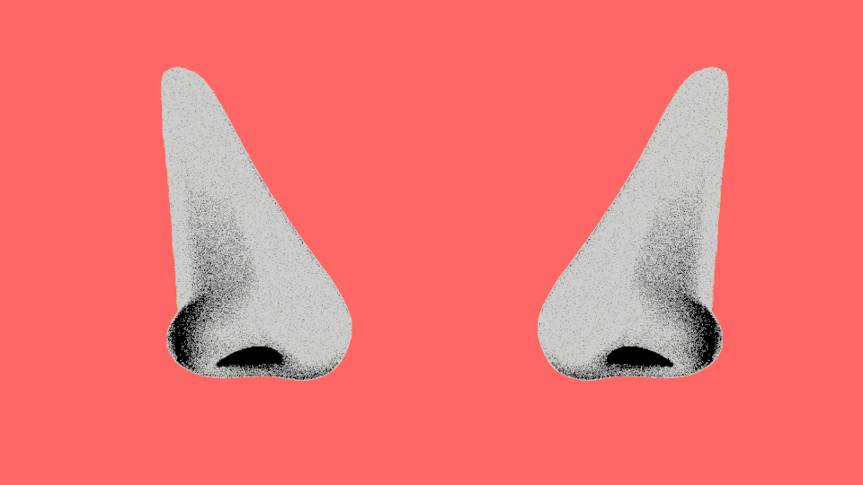Animation of two noses and one swab