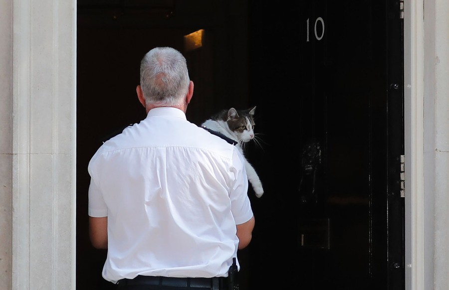 A person carries a cat through a doorway.