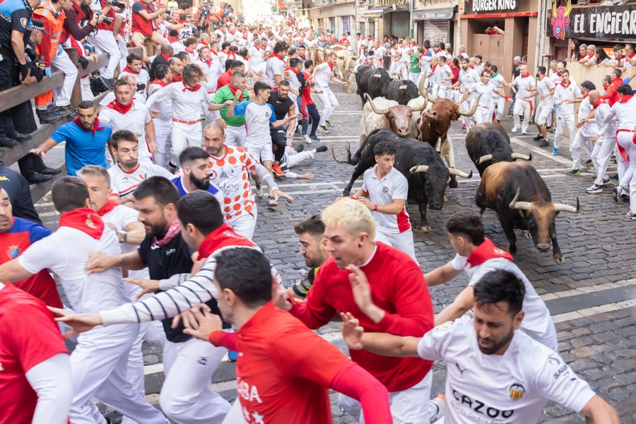 Many people run alongside and in front of half a dozen running bulls on a cobblestone street.