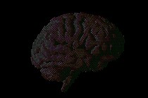 A video panning into a pixelated brain that forms and collapses in a loop