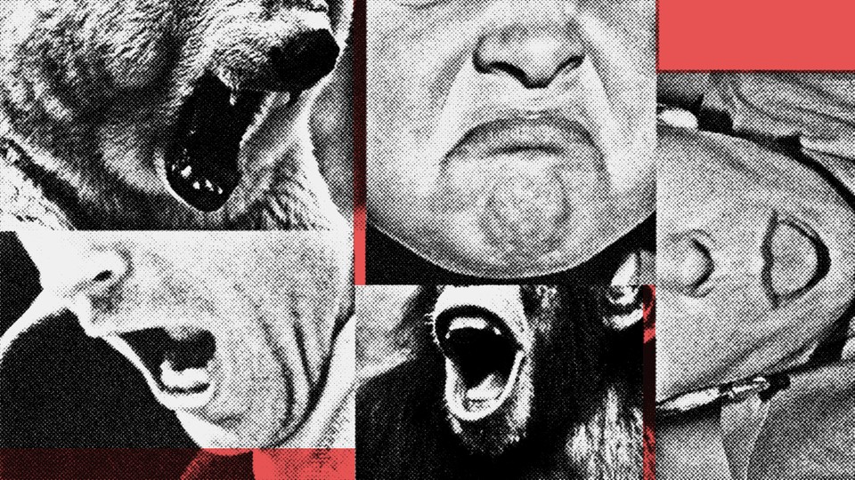 Photo illustration of angry people and animals