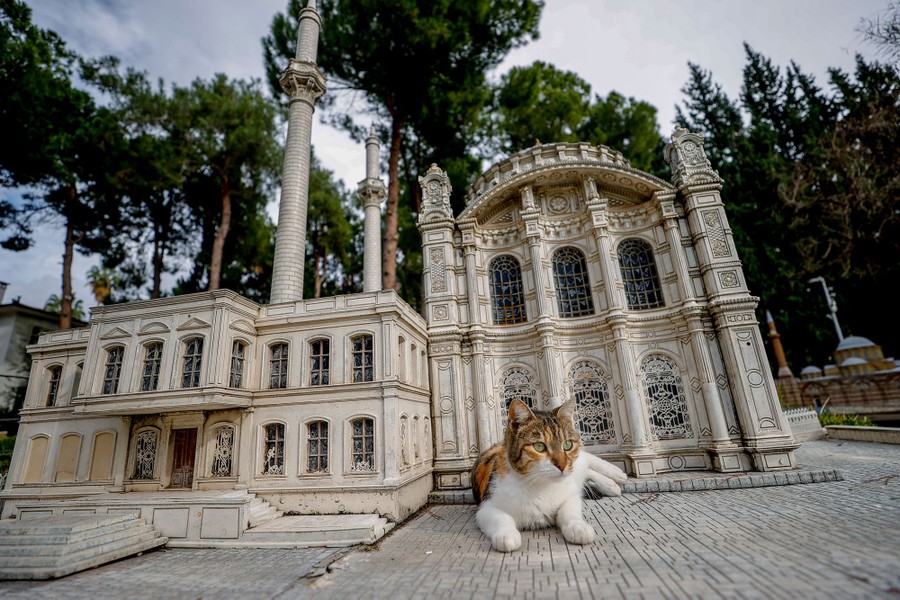A cat rests beside a miniature version of a historic building.