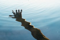 A hand reflected in ripples across blue water