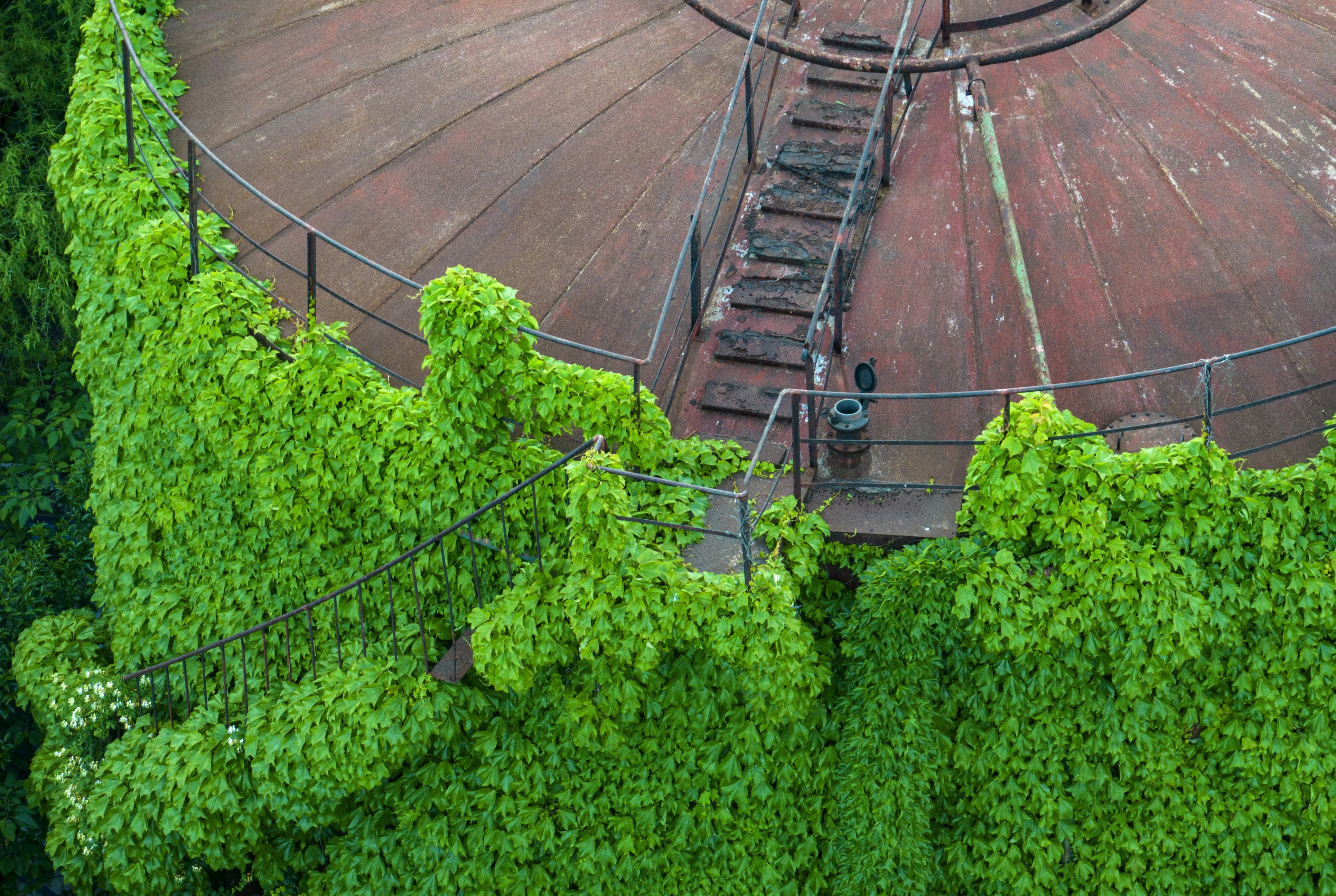 Aerial view of abandoned oil tanks covered in ivy