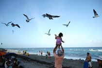 On a beach, a father holds his daughter up above his shoulders, and she looks up at the birds