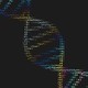 DNA in rainbow letters