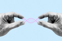 DND double helix hands