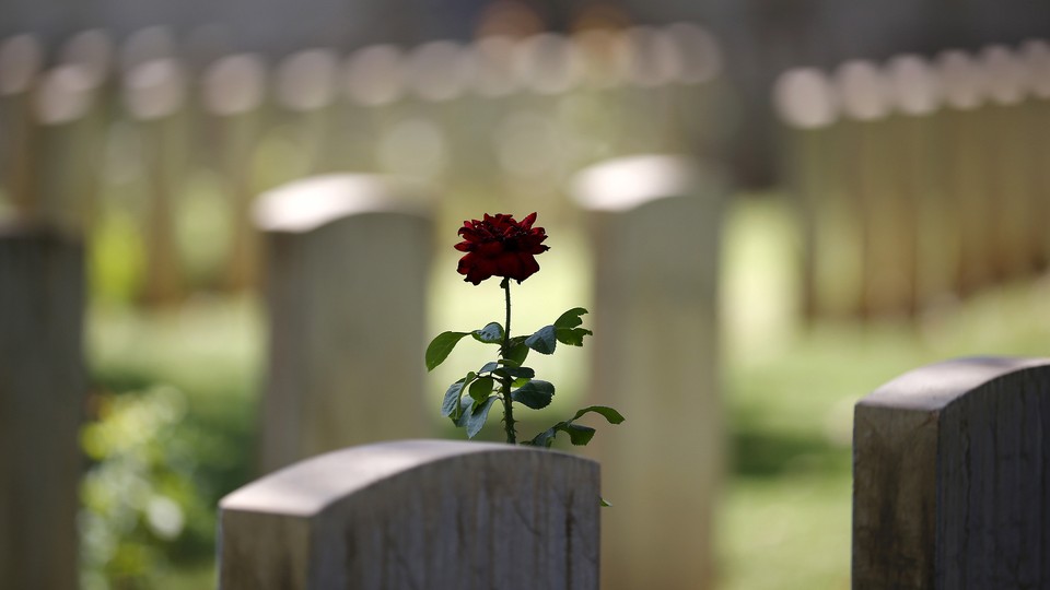 A red rose grows next to a headstone in a cemetery.