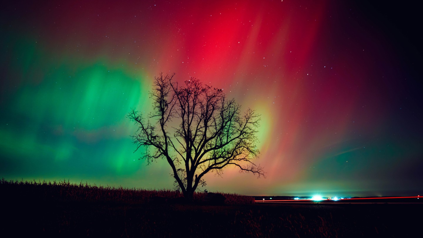 A photograph of a red-and-green aurora in the night sky, above a bare-branched tree