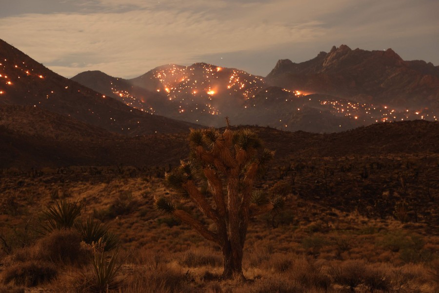 A hillside glows with many embers from a wildfire, in a dry region.