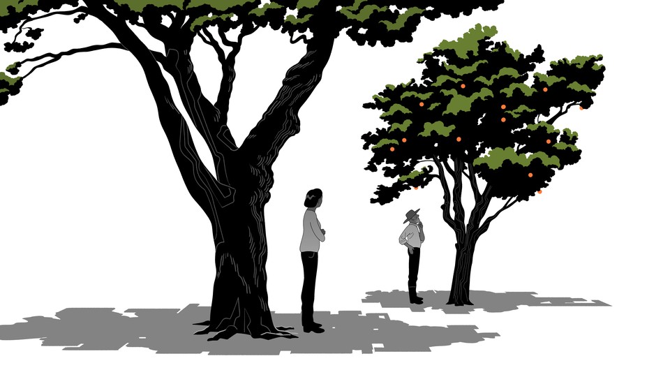 A man considering a tree while a woman stands a bit away from him