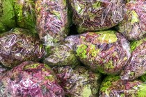 An image of bagged lettuce