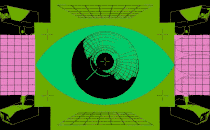 an eye whose pupil is a surveillance apparatus that changes into a map of the U.S. after blinking, surrounded by grids and security cameras