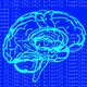 pixelated image of brain