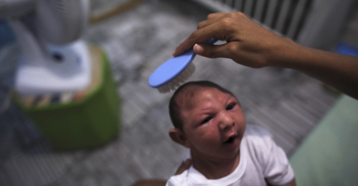 What Will Be The Long Term Effects Of Zika The Atlantic 